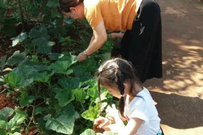 Bé cùng cô trải nghiệm