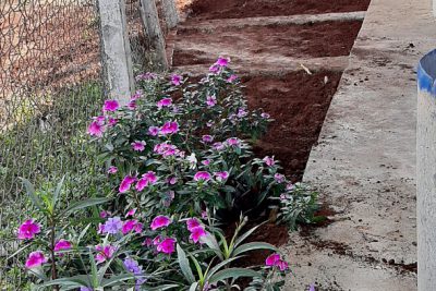 Hình ảnh “Phối hợp giữa phụ huynh và nhà trường” – Làm bồn hoa tại thôn 7