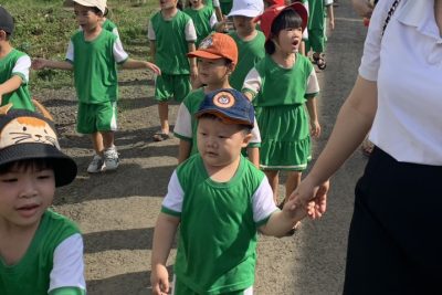 Thông báo việc đánh giá giáo viên, cán bộ QLCS GDMN trên phần mềm TEMIS